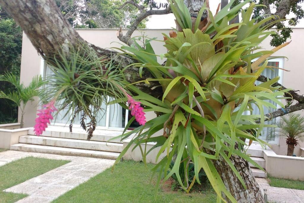 Buzios Requinte & Sofisticacao Villa Luaran gambar